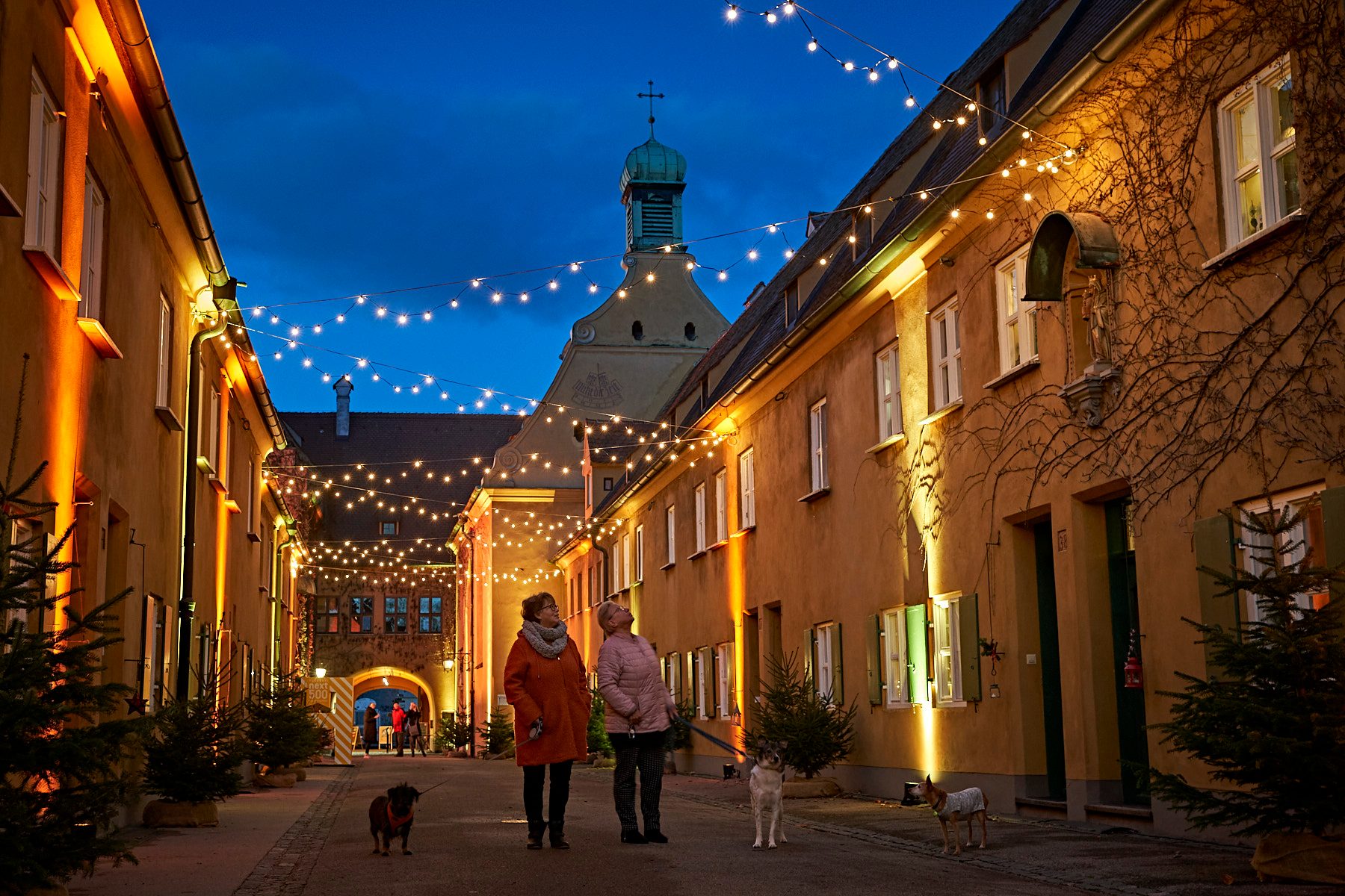 Offizielle Website Der Fugger - Alle Jahre Wieder: Christbaumverkauf In ...